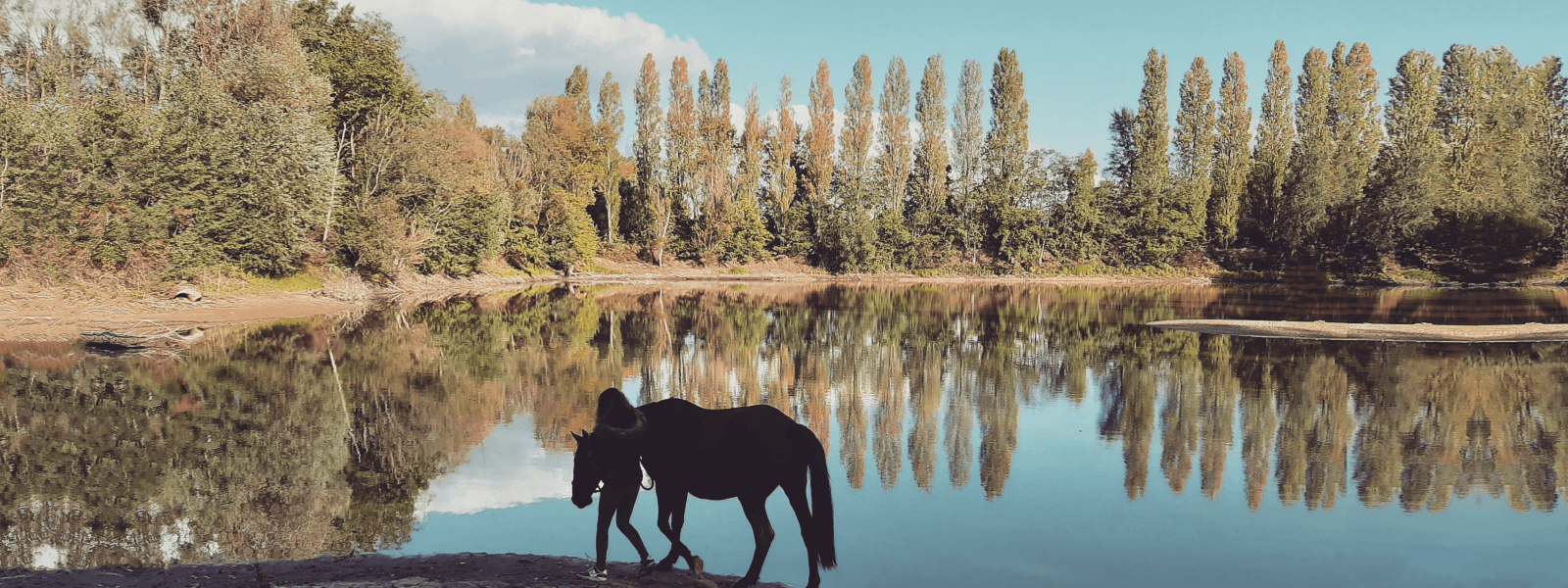 Cheval et sa cavalière autour d'un étang en Sologne avec la forêt qui se reflète comme dans un miroir