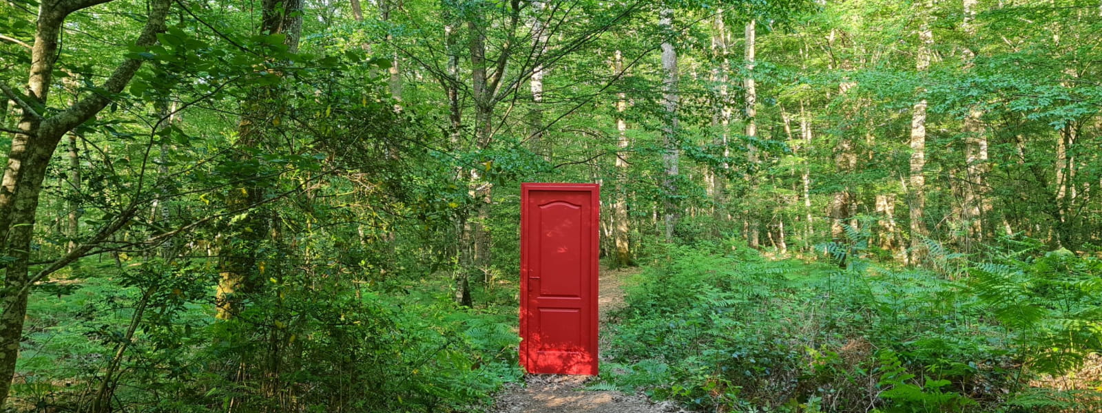 Porte rouge en Forêt