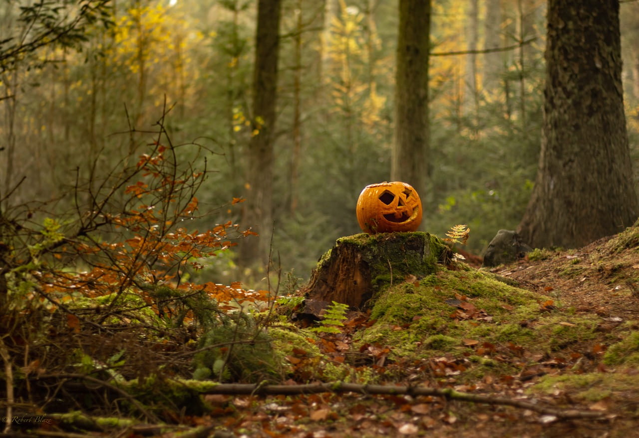 Sortie Nature - 'Halloween à l'espace naturel sensible'