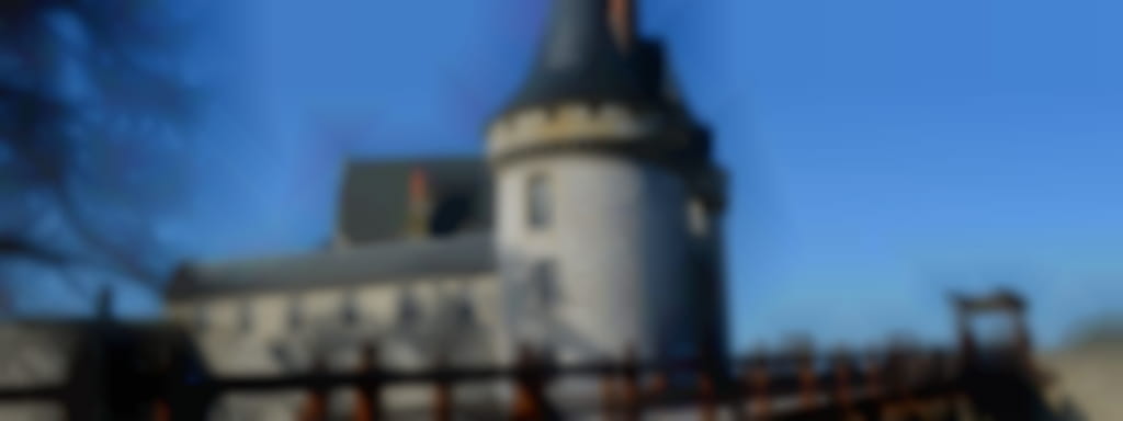 'Visites Historiques' au château de Sully sur Loire 