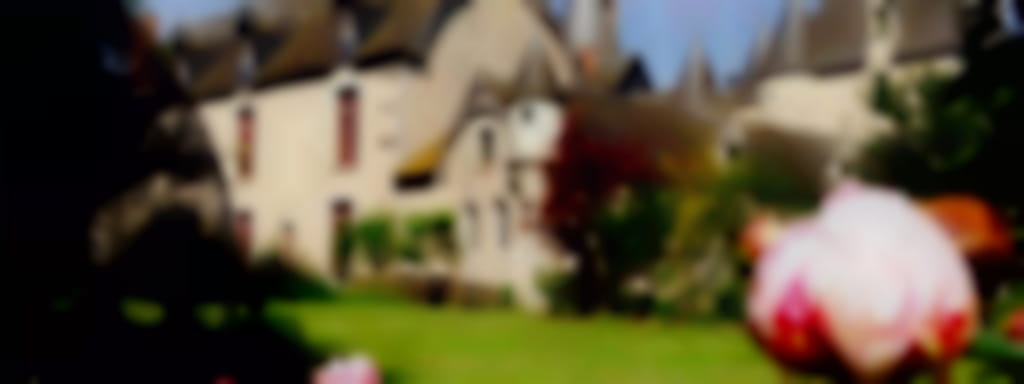 Rendez-vous aux Jardins au Château de Fougères-sur-Bièvre - Atelier