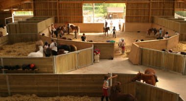 Centre Equestre Poney Club d'Orléans-la-Source