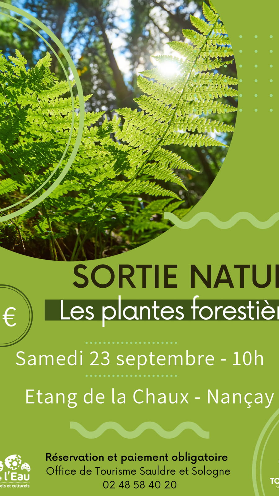 Sortie Nature : les plantes forestières